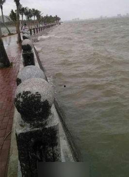 湛江赤坎最新新闻爆料,最新爆料揭示惊人真相